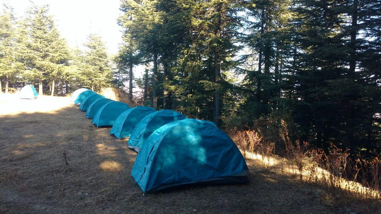 Hotel Trimurti Pine Valley Resort Shimla