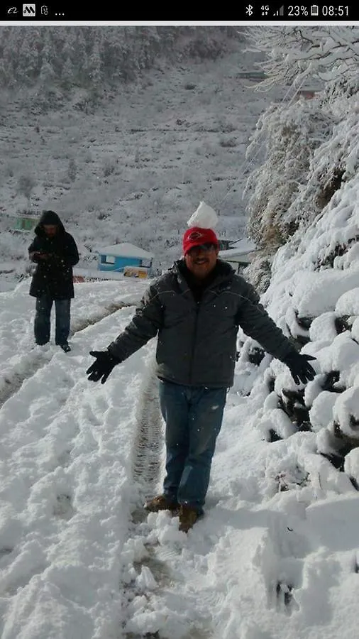 Trimurti Pine Valley Resort Shimla
