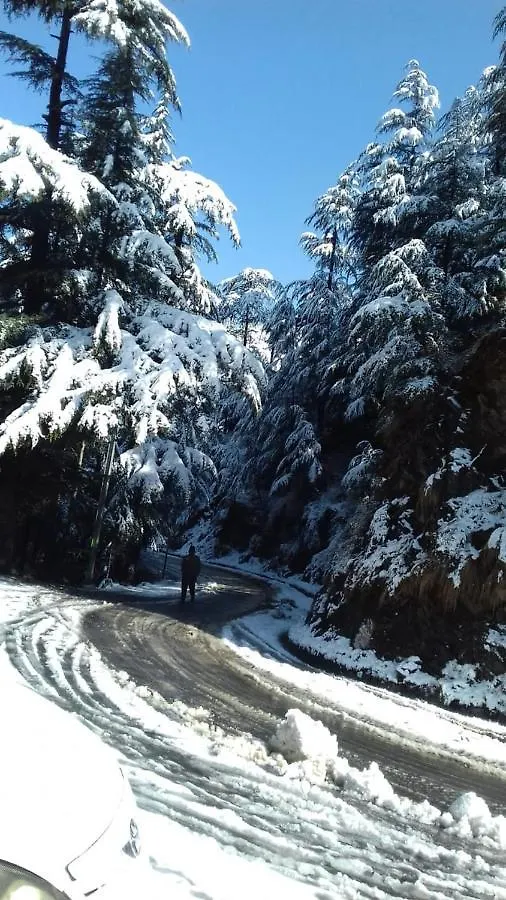 Hotel Trimurti Pine Valley Resort Shimla